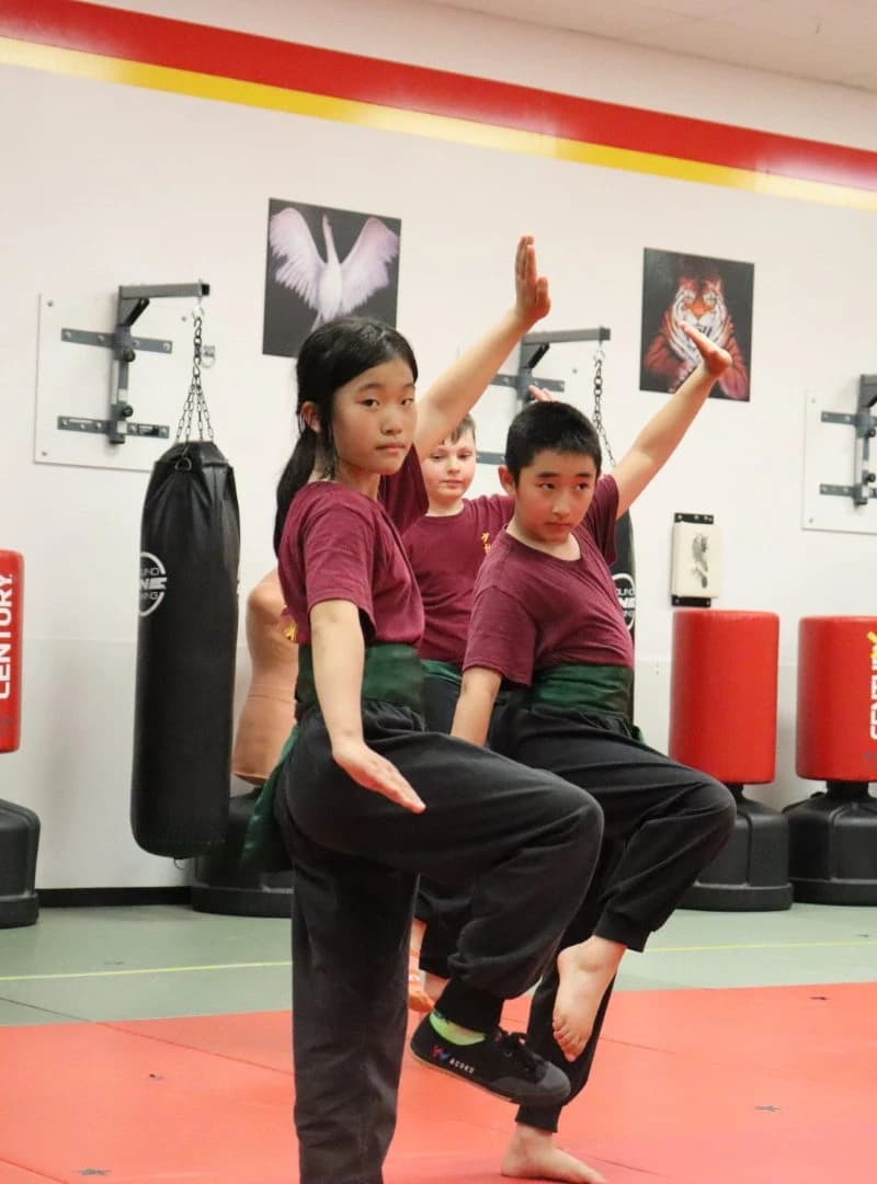 A young student holding a high kick beside a classmate punching