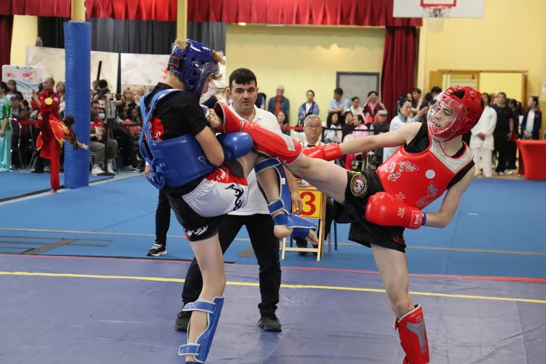 Tournament Sanda match sidekick