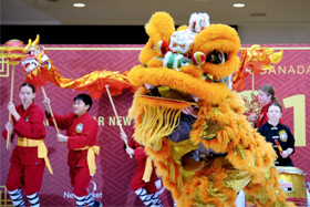 Shaolin Martial Arts Demonstration at the Upper Canada Mall